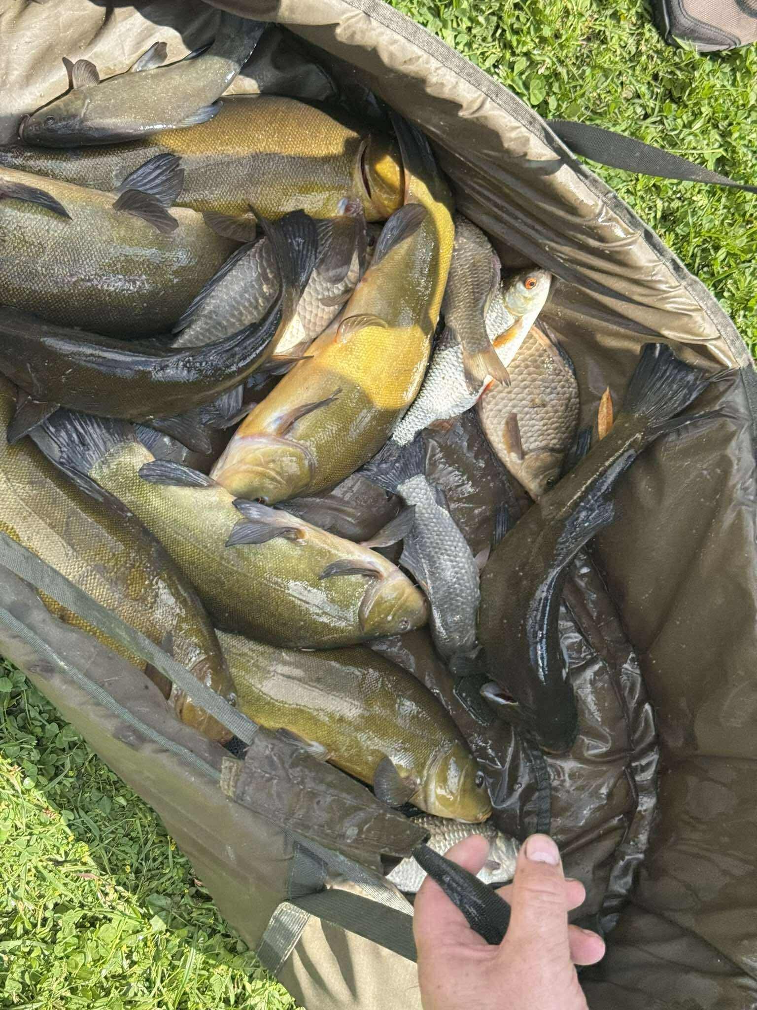 Sezon 2025 WhatsApp 32